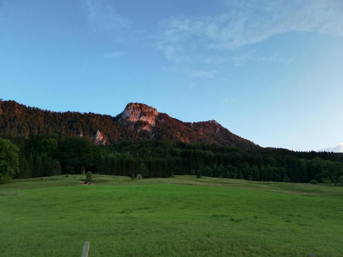 Am Mondseeblick Dış mekan fotoğraf
