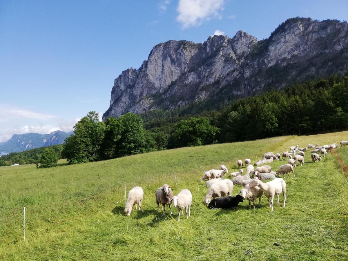 Am Mondseeblick Dış mekan fotoğraf